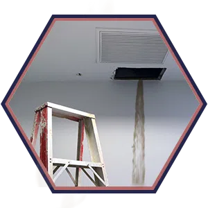 Homestead Restoration Expert Homestead, FL 786-296-0023 Homestead Restoration Expert Homestead, FL 786-296-0023 - sb-ser-01